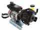 Comet APS 31 - Motopompa elettrica per irrorazione - Motore monofase 2 HP